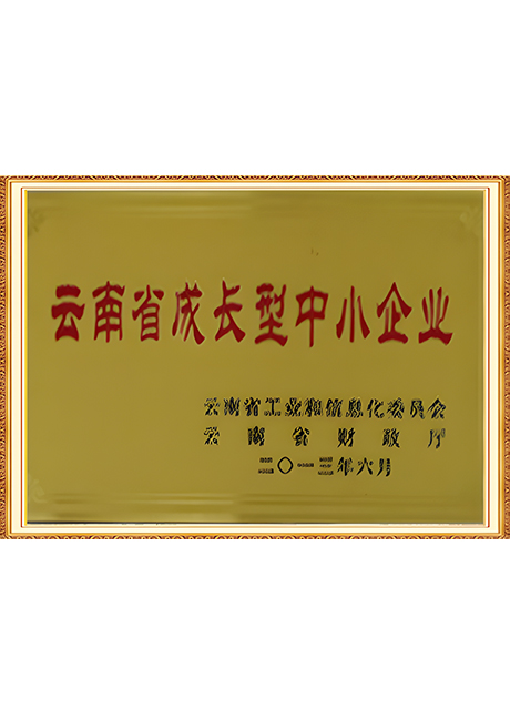 Certificate Of Honor